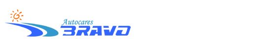 autocares bravo